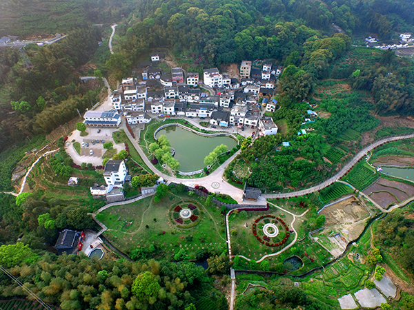 图片5：上金贝村全景鸟瞰图.jpg
