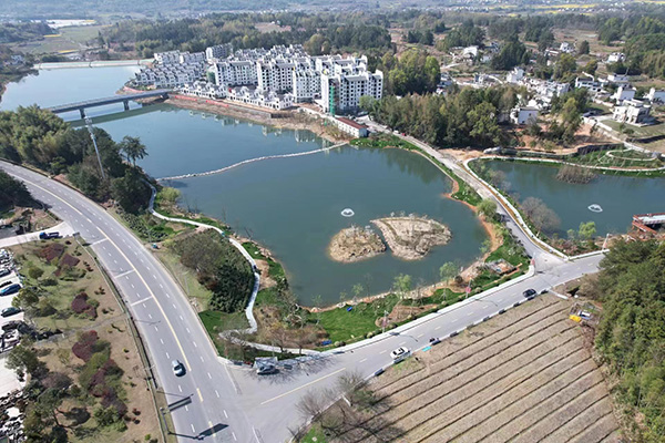图片1：五里村湿地风光.jpg