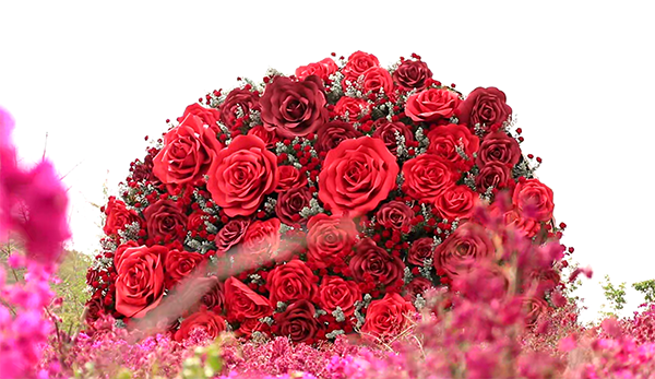 壶口花世界巨型玫瑰花束.png