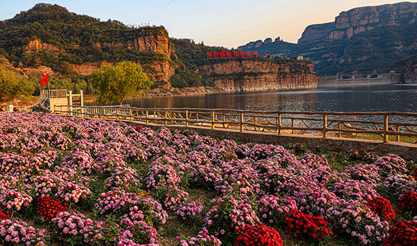 图片11：河北省沙河市秦王湖牡丹园风光.jpg