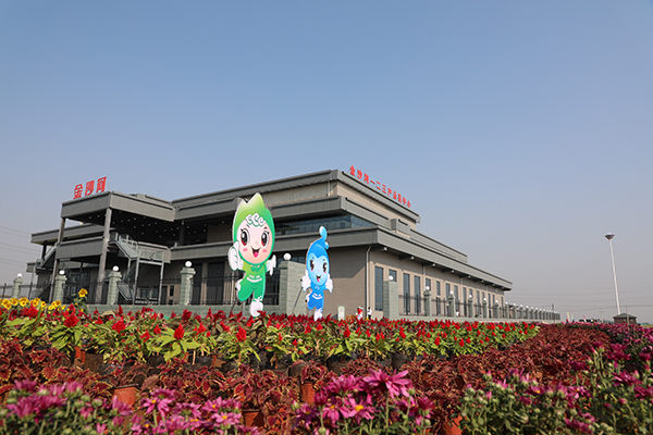 图片27：沙河市红薯岭产业示范中心.JPG