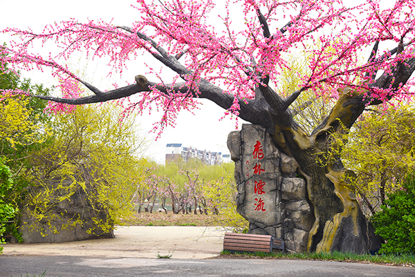 图片1：津溪桃源春景.jpg