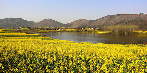 陈村山水2.jpg