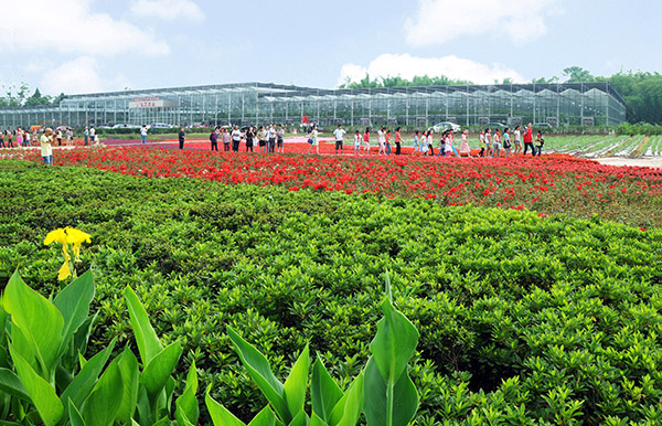 休闲农业旅游度假区.jpg