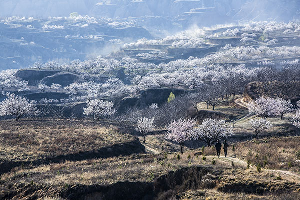 图片1沟壑纵横.jpg