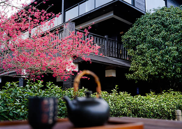 图片2：岳山嘉茗茶旅民宿建筑外观2.jpg