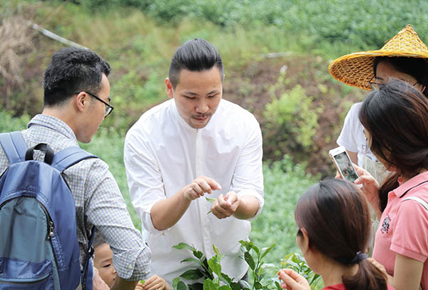 图片4：岳山嘉茗茶旅民宿采茶体验.jpg