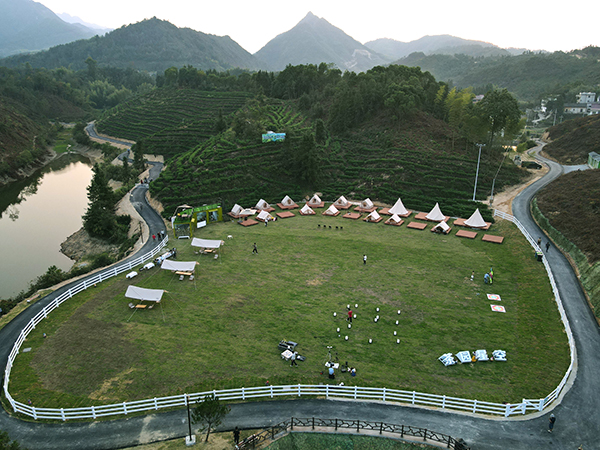 茶园星空露营.jpg