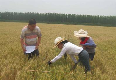 青岛市农业科技促进年工作简报(第40期)