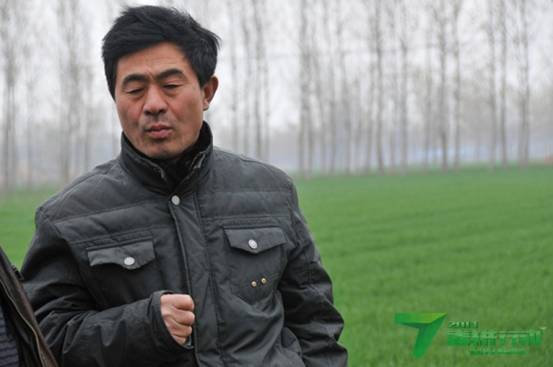 睢县萝卜哥,改行种粮当大户