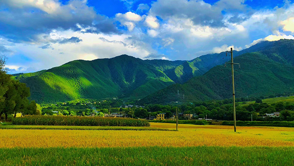 塔城镇加母壳的田野.jpg