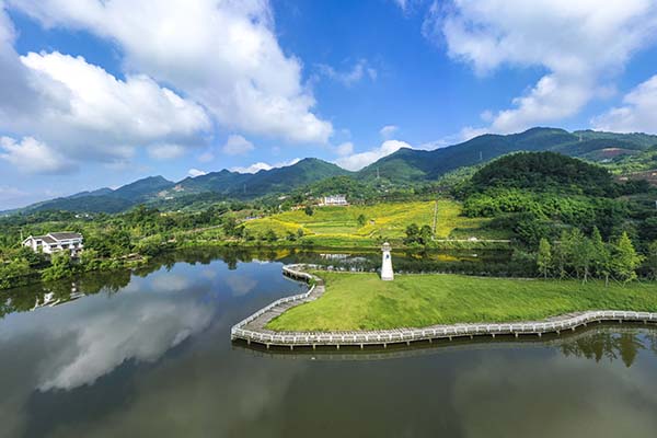 素心蜡梅园.jpg