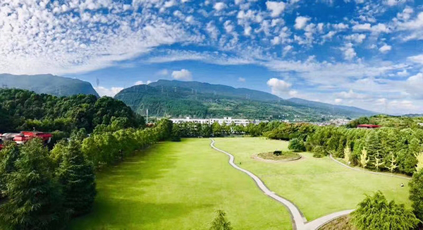 温泉大草坪.jpg