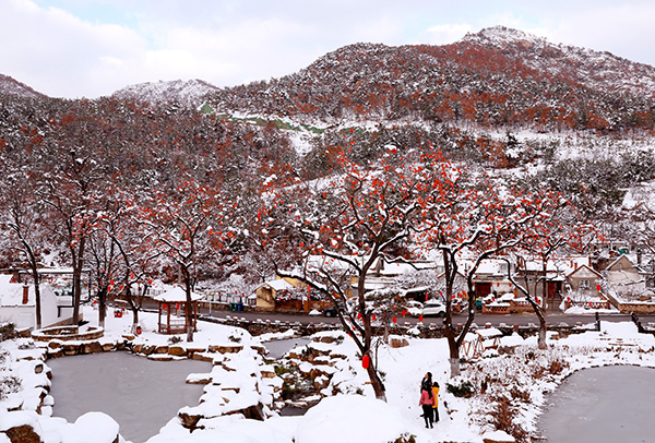 图片10：王家疃村雪景.jpg
