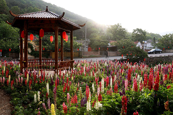图片11：王家疃休闲公园.png