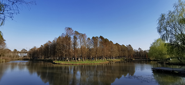 湿地景观.jpg