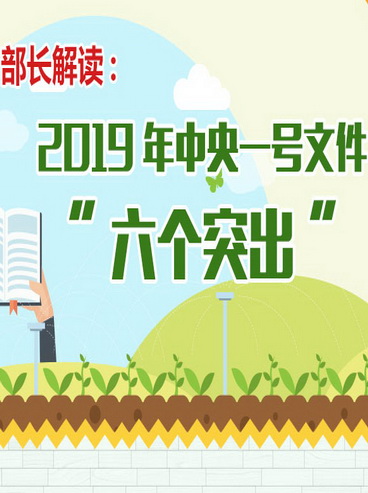 一号文件-6个突出特点-改.jpg