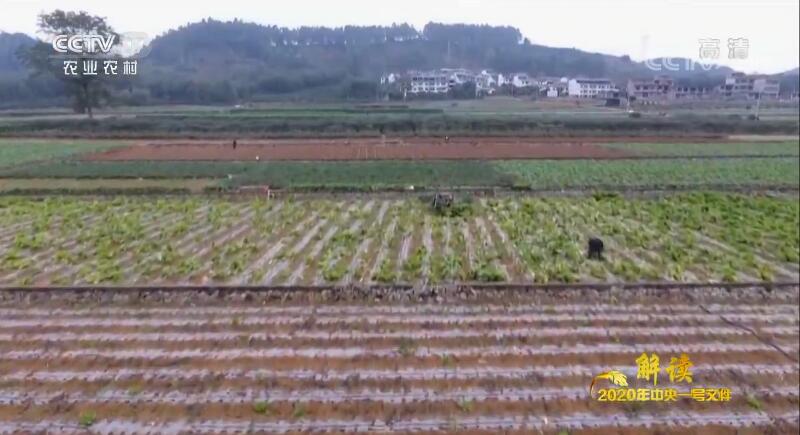 QQ截图20200212104543.jpg