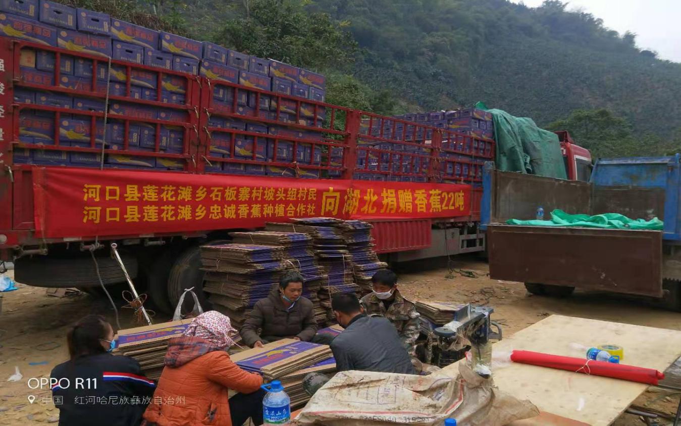 微信图片_202002071706122