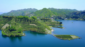 特色-金寨县农业农村局-20210720-封面图.JPG
