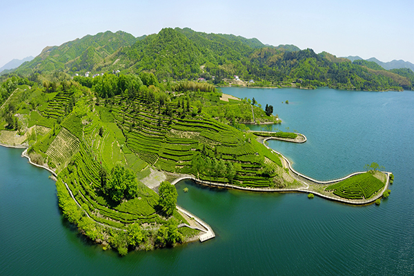 图片5：西茶谷主题公园核心区.jpg