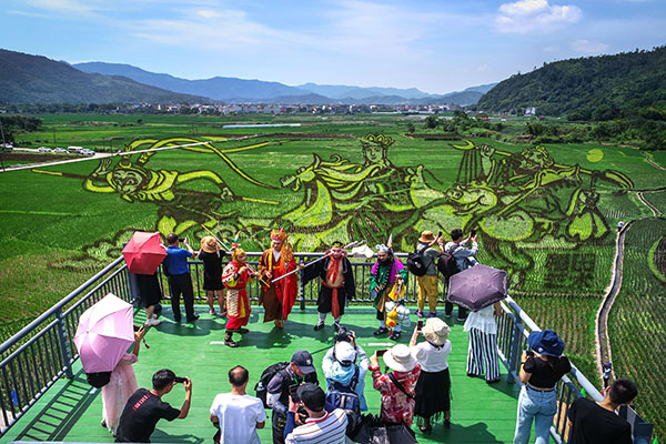 苍坡古村美丽田园.jpg