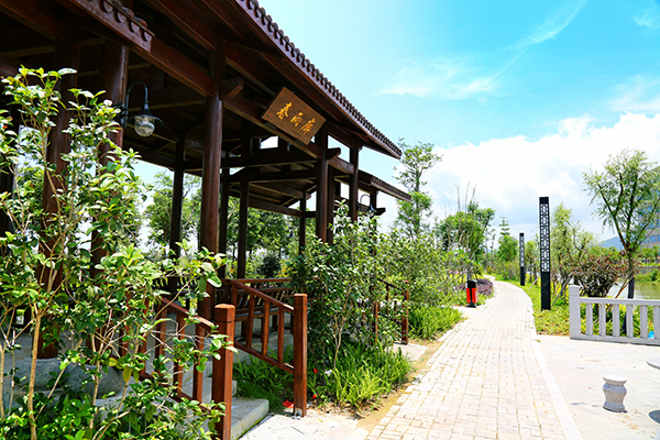 西溪 (1).JPG