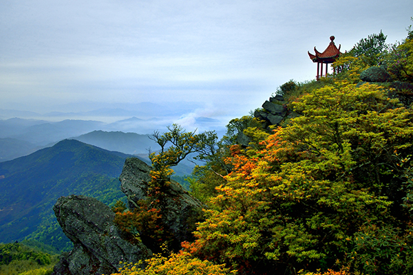 一览众山小---康忠信.jpg