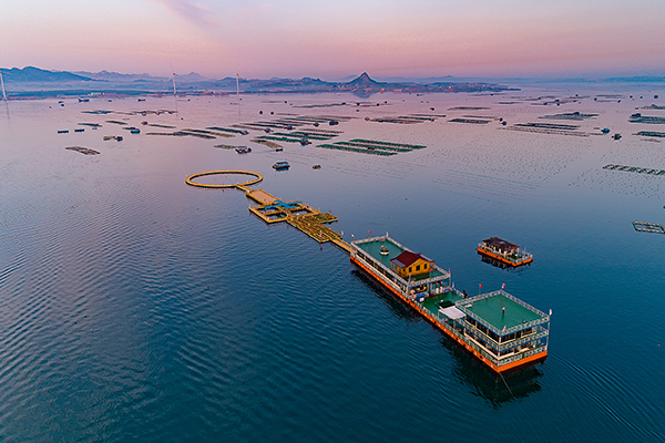 桑沟湾 海洋牧场2.jpg