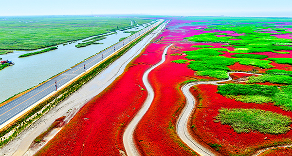 红海滩廊道十八公里海岸线.jpg