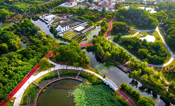 西庐园.夏.jpg