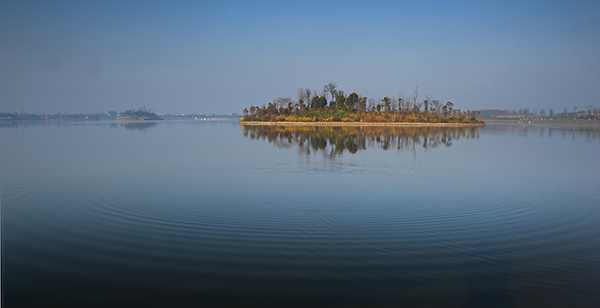 金仓湖湖心小岛.jpg