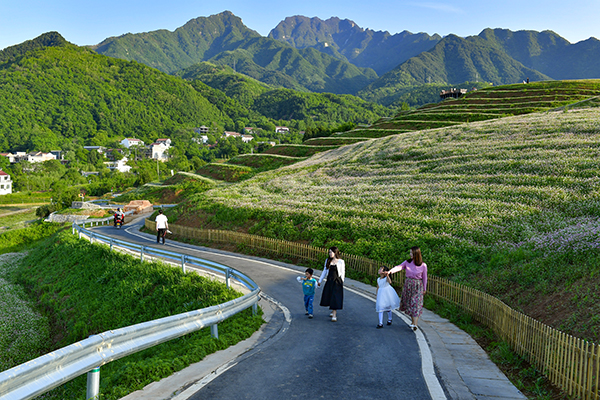 荞麦岭步道.jpg