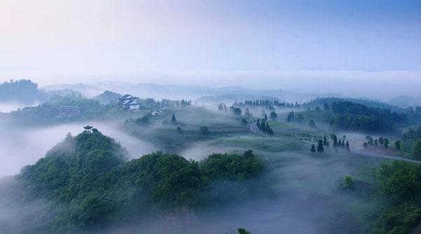 图片8云山茶海云海景色.jpg