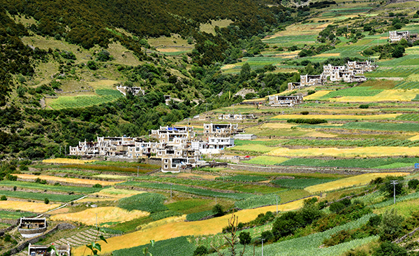 董马村田园风光.jpg