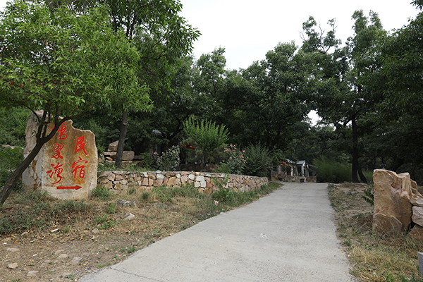 8.杨岭鸿翠湾民宿.jpg
