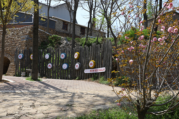 12.槐树湾村创客基地.jpg