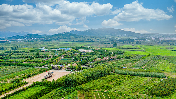 线路2精品点3：云过山丘茶旅园全景图.jpg