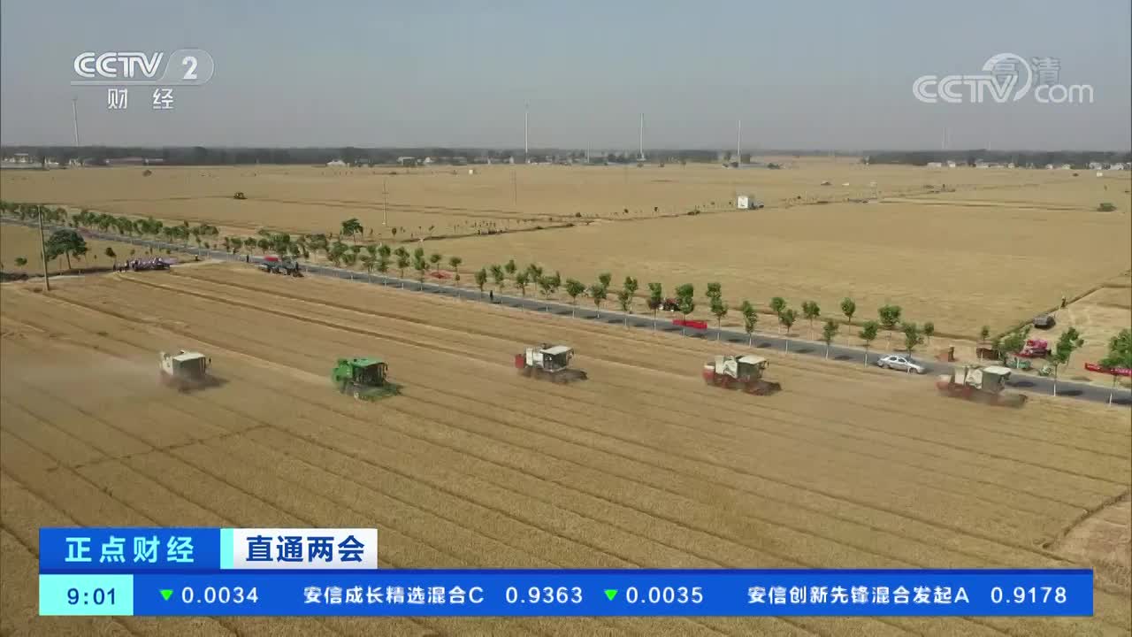 直通两会 维护粮食安全 种子要创新.jpg