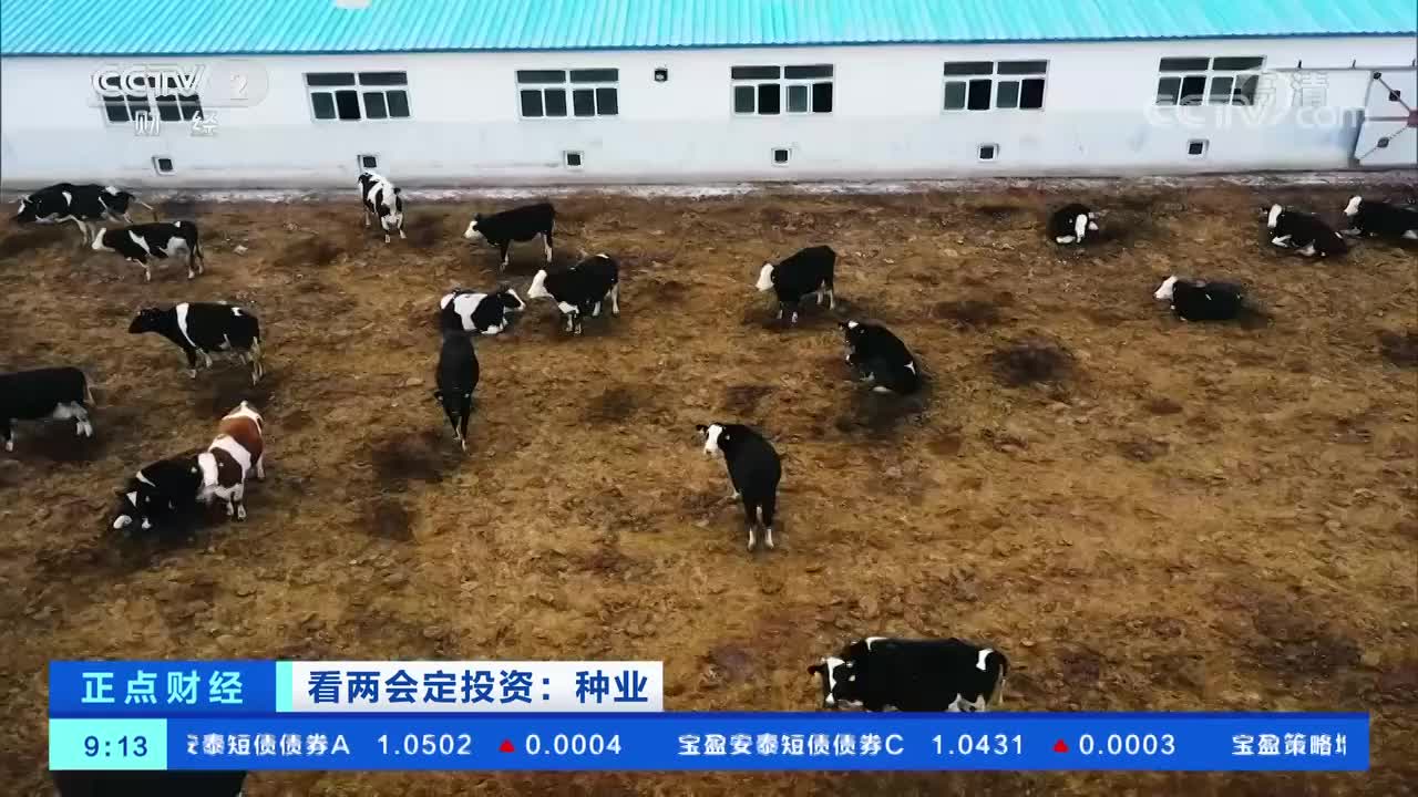 看两会定投资：种业补齐畜禽种业短板 我国将加快商业化育种体系建设.jpg