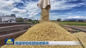 [视频]我国早稻收获陆续展开_2025-07-13_19_19_13.jpg