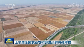 [视频]上半年全国农业农村经济运行总体平稳_2025-07-17_19_17_50.jpg