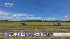 [朝闻天下]全国早稻收获过六成_丰收在望_2025-07-20_06_14_06.jpg