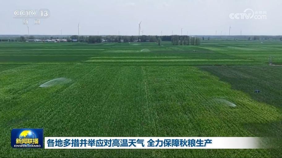 [视频]各地多措并举应对高温天气_全力保障秋粮生产_2025-07-18_19_29_33.jpg