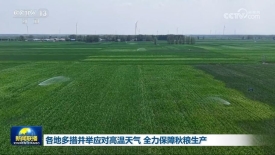 [视频]各地多措并举应对高温天气_全力保障秋粮生产_2025-07-18_19_29_33.jpg