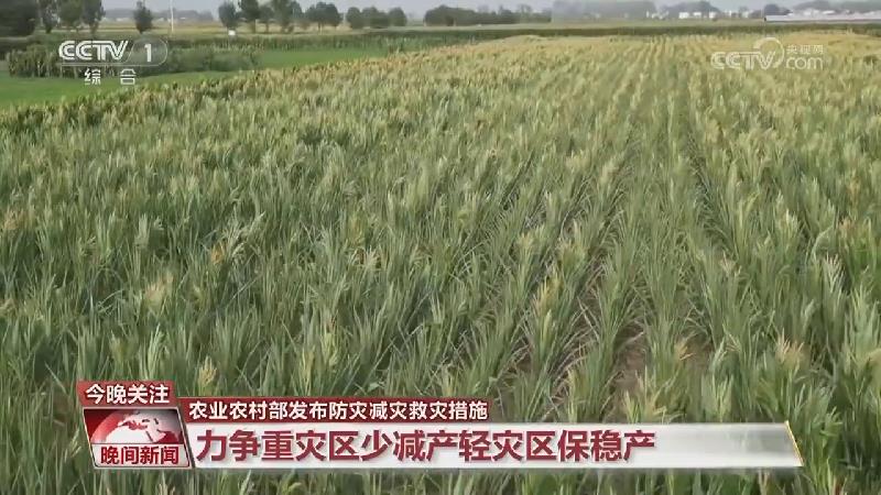 [视频]农业农村部发布防灾减灾救灾措施_2025-08-04_22_30_31.jpg