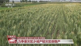 [视频]农业农村部发布防灾减灾救灾措施_2025-08-04_22_30_31.jpg