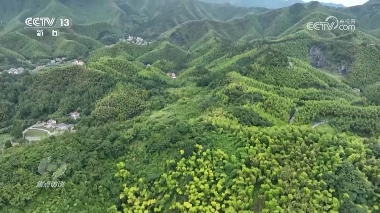 《焦点访谈》_20250813_绿水青山就是金山银山_美丽乡村_生态蝶变_2025-08-13_19_56_48.jpg