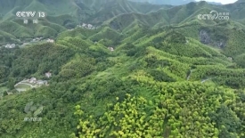 《焦点访谈》_20250813_绿水青山就是金山银山_美丽乡村_生态蝶变_2025-08-13_19_56_48.jpg