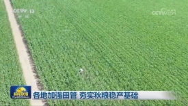 [视频]各地加强田管_夯实秋粮稳产基础_2025-08-18_19_27_01.jpg